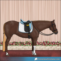 Horse Color:Gray Chestnut Tobiano