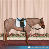 Horse Color:Red Roan 