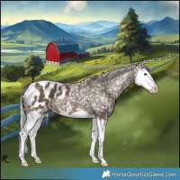 Horse Color:Silver Brown Dun Splash Appaloosa