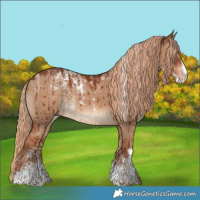 Horse Color:Powder White Red Dun Brindle 