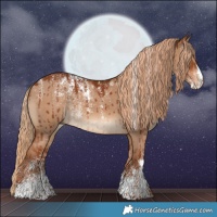 Horse Color:Powder White Red Dun Brindle 
