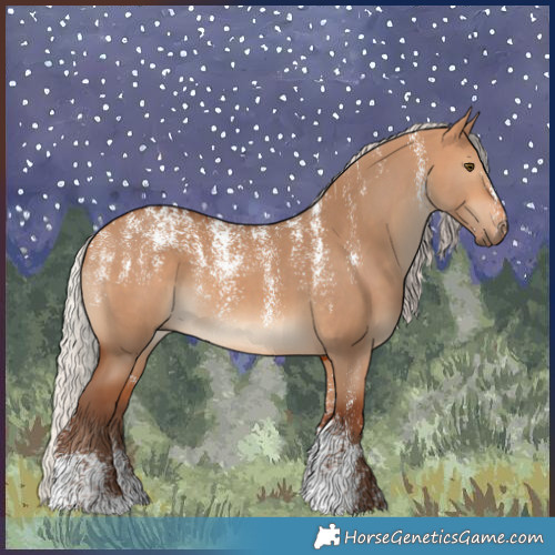 Horse Color:Powder White Silver Bay Dun 