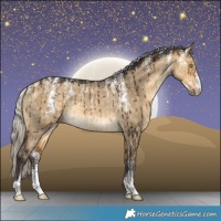Horse Color:Powder White Silver Buckskin Dun Brindle
