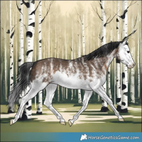 Horse Color:White Spotted Brown Dun Splash 