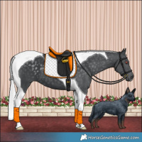 Horse Color:Silver Black Chinchilla Tobiano