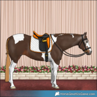 Horse Color:Gray Chestnut Tobiano