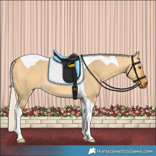 Horse Color:Silver Buckskin Dun Tobiano