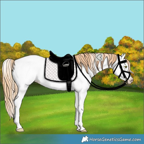 Horse Color:Gold Champagne Near Fewspot 