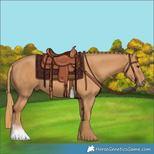 Horse Color:Chestnut Rabicano 