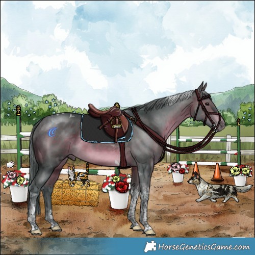 Horse Color:Watercolor Chocolate Brown Tobiano