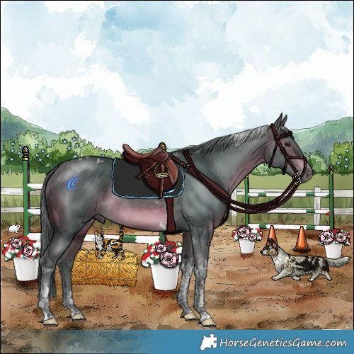 Horse Color:Watercolor Chocolate Brown Tobiano