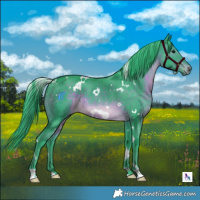 Horse Color:Watercolor White Spotted Brown 