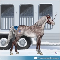 Horse Color:Chocolate Silver Buckskin Chinchilla 