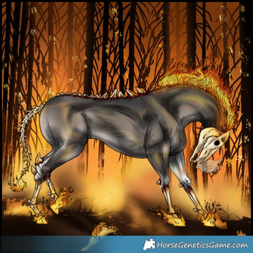 Horse Color:Platinum Blue Onyx