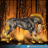 Horse Color:Platinum Blue Onyx 