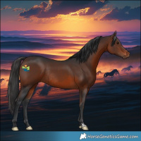 Horse Color:Brown Rabicano