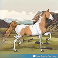 Horse Color:Chestnut Splash Tobiano Frame
