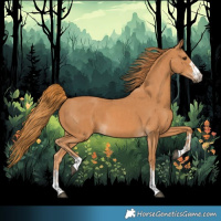 Horse Color:Chestnut and Chestnut