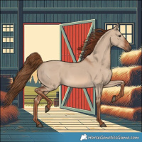 Horse Color:Red Dun 