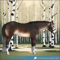 Horse Color:Gray Brown 
