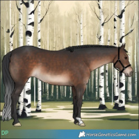 Horse Color:Brown 
