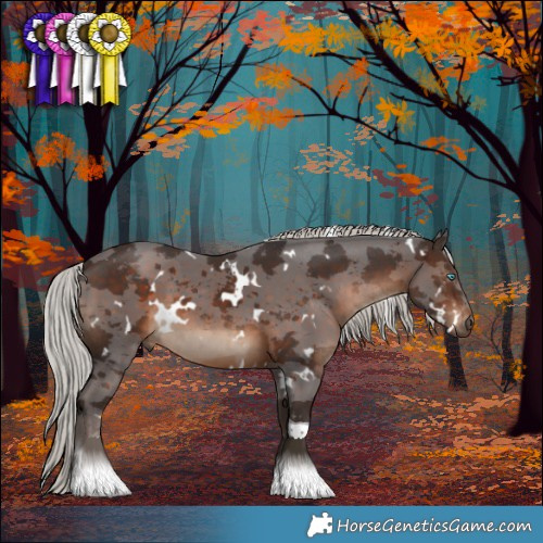 Horse Color:White Spotted Silver Brown Merle Tobiano 