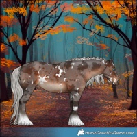 Horse Color:White Spotted Silver Brown Merle Tobiano