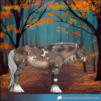 Horse Color:White Spotted Silver Brown Merle Tobiano 