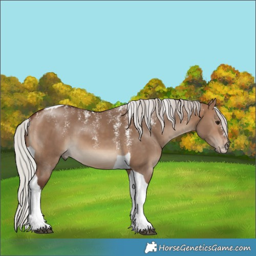 Horse Color:Powder White Silver Brown Dun Tobiano 