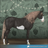 Horse Color:Liver Chestnut Frame 