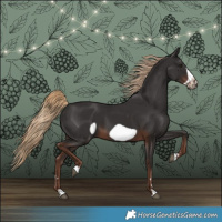 Horse Color:Liver Chestnut Frame 