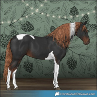 Horse Color:Liver Chestnut Tobiano 