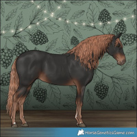 Horse Color:Liver Chestnut Rabicano