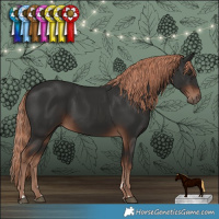 Horse Color:Liver Chestnut Rabicano 