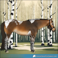 Horse Color:Gray Buckskin Tobiano 