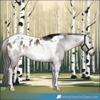 Horse Color:Gray Buckskin Tobiano Blanket 