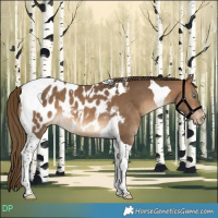 Horse Color:Gray Perlino Tobiano Appaloosa