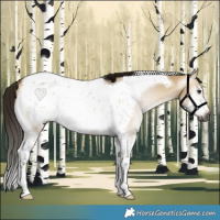 Horse Color:Gray Buckskin Dun Tobiano Frame Rabicano