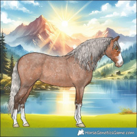 Horse Color:Silver Brown Roan Appaloosa 