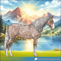 Horse Color:Silver Brown Roan Appaloosa
