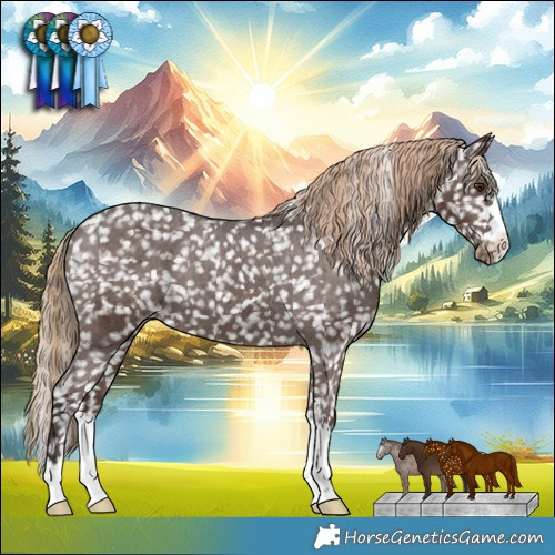 Horse Color:Liver Chestnut Appaloosa 