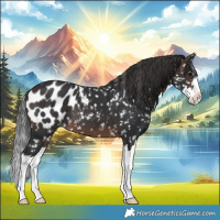 Horse Color:Brown Splash Blanket