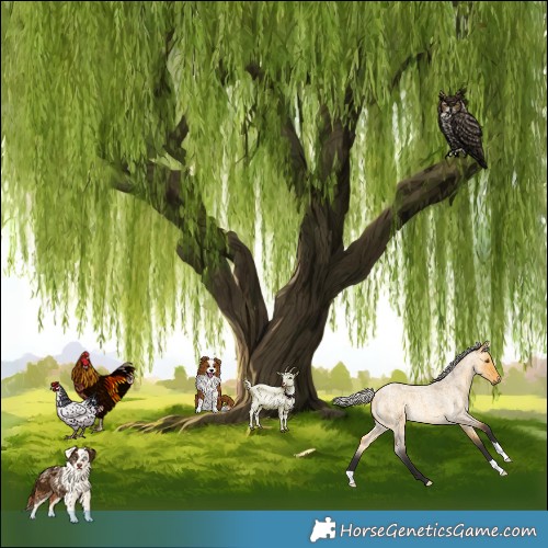 Horse Color:Silver Buckskin Roan Dun 