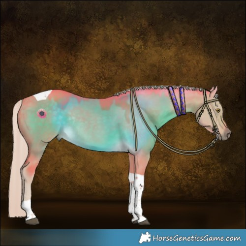 Horse Color:Watercolor Chocolate Palomino Dun Tobiano Rabicano