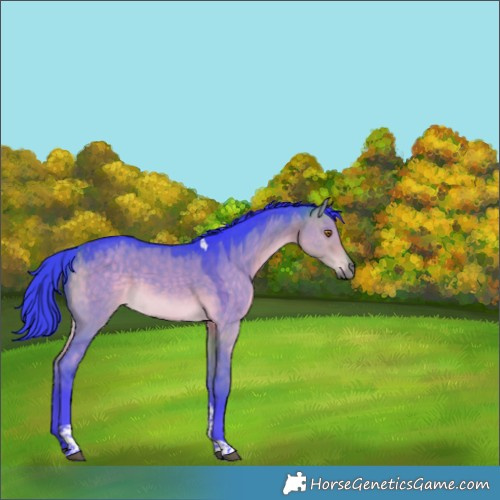 Horse Color:Watercolor Buckskin Dun Tobiano Rabicano 