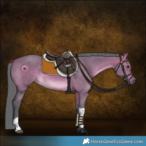 Horse Color:Watercolor Chocolate Brown Dun Tobiano