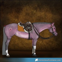 Horse Color:Watercolor Chocolate Brown Dun Tobiano 