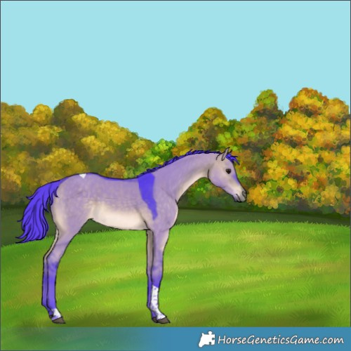 Horse Color:Watercolor Chocolate Bay Dun Tobiano 