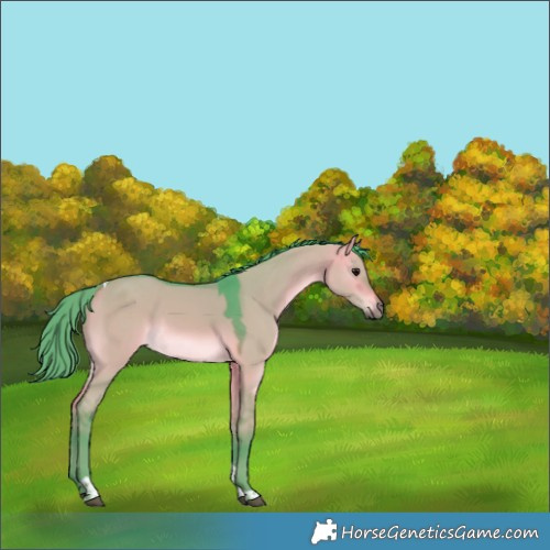 Horse Color:Watercolor Chocolate Bay Dun Tobiano