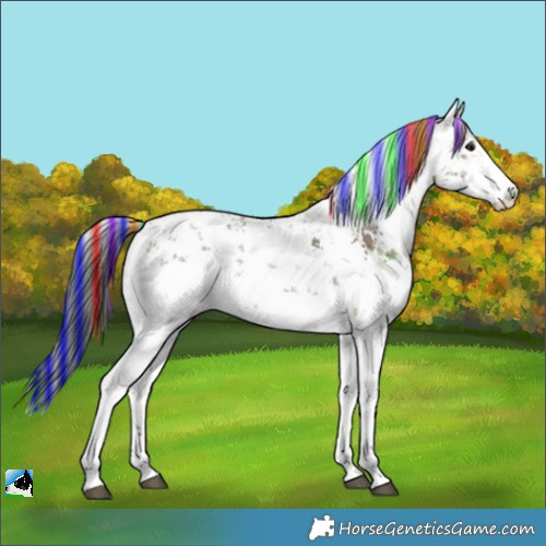 Horse Color:Painted White Spotted Bay Ice Dun Sabino 